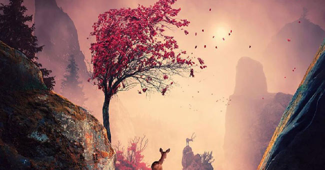 Surreal photo: The world before I go to sleep