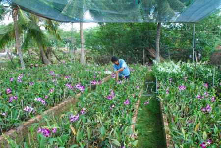 Sustainable agriculture model for alkaline soils
