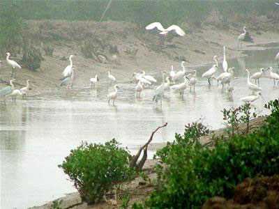 Sweden helps Vietnam cope with climate change
