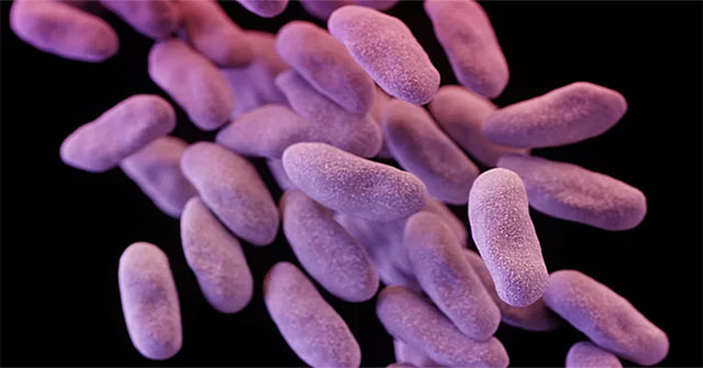 Swedish scientist warns of an epidemic of bacteria at a Vietnamese hospital