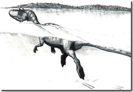 Swimming dinosaurs