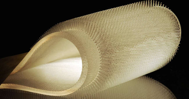 Swimsuits, dive-resistant, cold-drawn animals