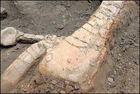 Switzerland: Detecting holes containing Plateosaurus dinosaur bones