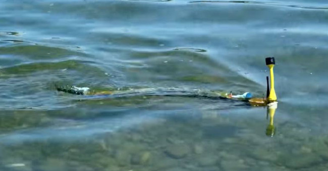 Switzerland successfully developed the eel robot to detect domestic pollution