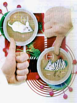 Synthetic biology: Robbery of creation