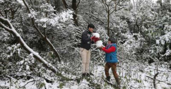 Taiwan: 52 people died in a terrible cold spell