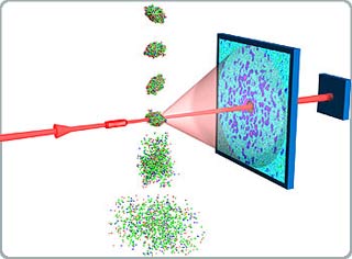 Take photos at the nanoscale level with a strong and short-wavelength X-ray laser.