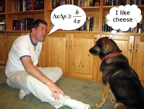 'Talking dog' catches attention on Youtube