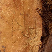 Tattoo of the Nile River mummy 1,300 years old