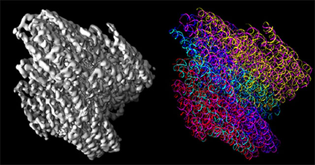 Technologies that will revolutionize the future of medicine