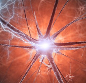 Technology 'in' living cells