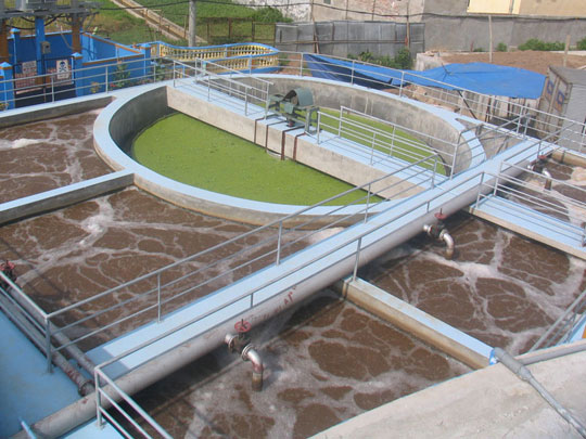 Technology extraction of rare metals from waste water