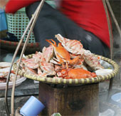 Technology for pumping crab bricks, painting for guava