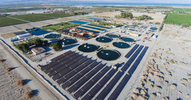 Technology for raising fish in the desert reaches high productivity of Israel