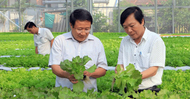 Technology irrigates Israel to the driest land in Central Vietnam