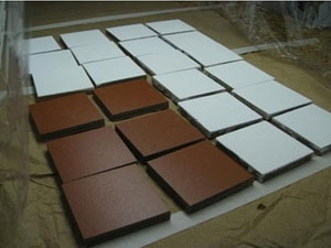 Technology transfer for manufacturing TiO2-Ag Nano paint