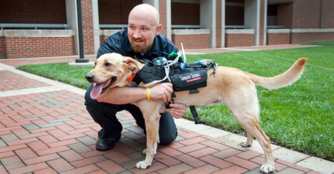 Technology will soon be available to help people talk to puppies