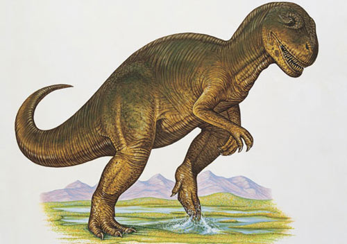 Teen moms - things that are common in dinosaurs
