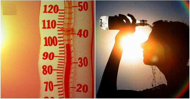 Temperatures in cities will increase by 8 degrees Celsius by the end of the century