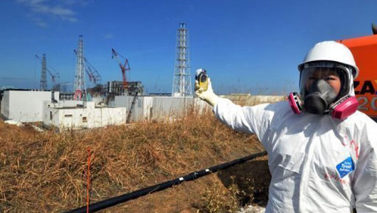 TEPCO withdrew from the nuclear project in Vietnam
