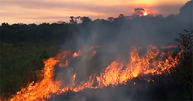 Terrible consequences of the Amazon forest fire
