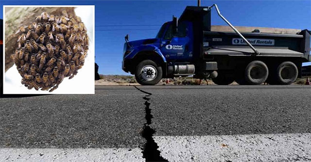 Terrible earthquake in America, thousands of bees died massively