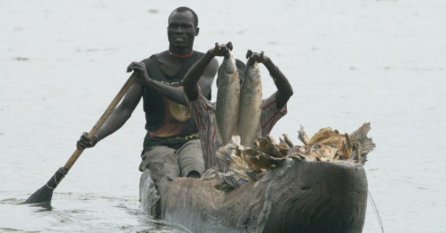 Terrible facts about life in the swamp