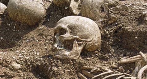 Test AND and the secret of Viking empire