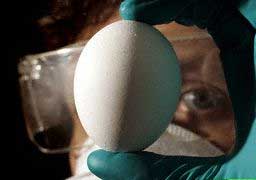 Testing H5N1 vaccine in Australia