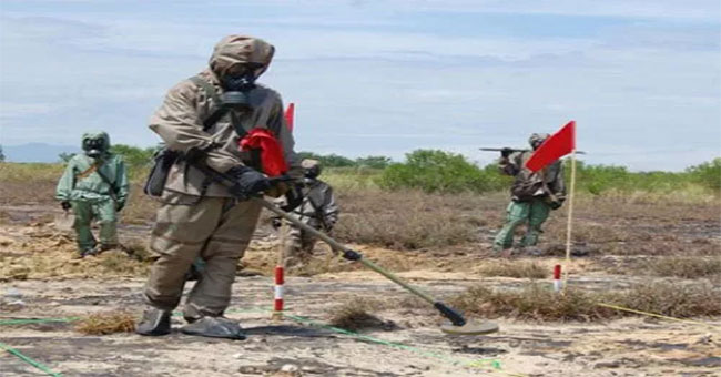 Testing of dioxin contaminated soil washing technology at Bien Hoa airport