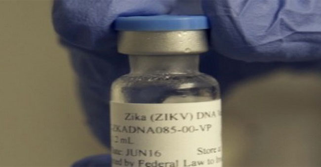 Testing two Zika vaccines for positive results