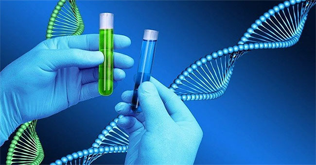 Tests know the risk of sudden death 10 years later