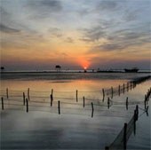 Thai Binh keeps hands on the marine environment