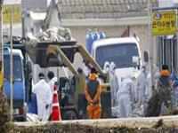Thailand increased efforts to fight bird flu