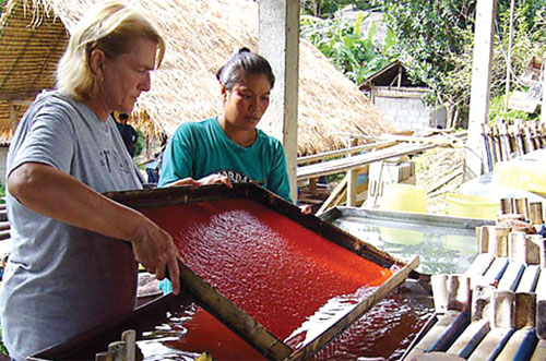 Thailand: Making paper with elephant dung to protect the environment
