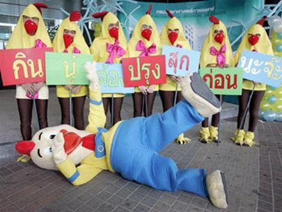 Thailand propagates bird flu at home