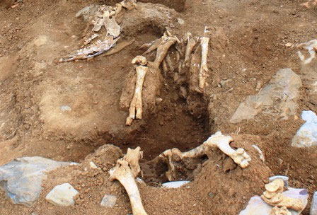 Thanh Hoa: Detecting sacrifices in Dan Te Nam Giao