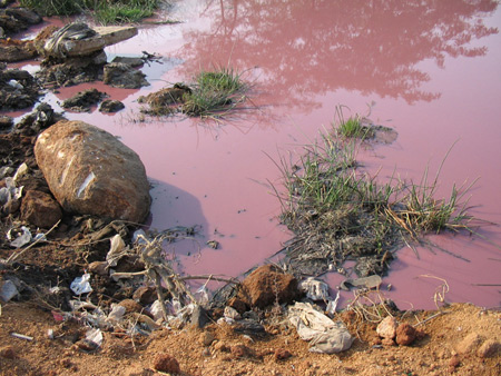 The 10 biggest dangers to the environment and people