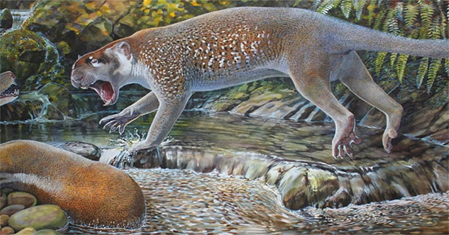 The 10 most exotic creatures have been discovered in 2018