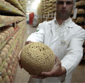 The 10 most impressive things in France