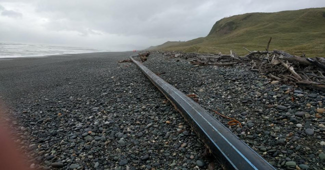 The 100m-long strange tube washed over the coast of New Zealand