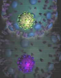 The 1918 virus is bird flu