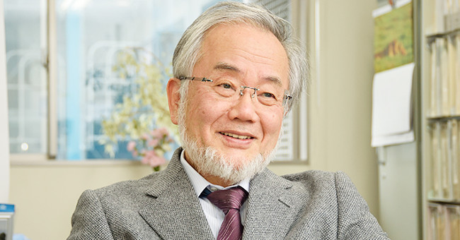 The 2016 Nobel Prize for Medicine honors the study of cell self-destruction