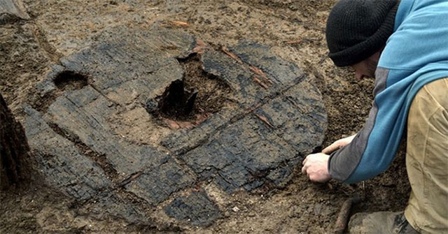 The 3,000 year old swamp carries a 'monster' in his body
