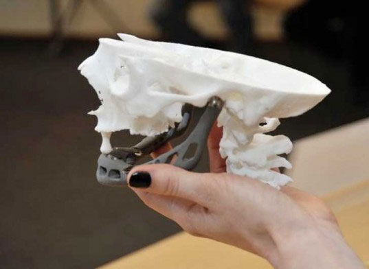 The 3D printer