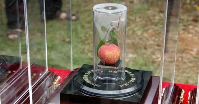 The 4 most expensive fruits in the world, one that costs one Mercedes