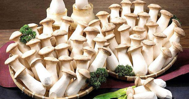 The 5 best mushrooms to prevent type 1 carcinogens, make kids smarter