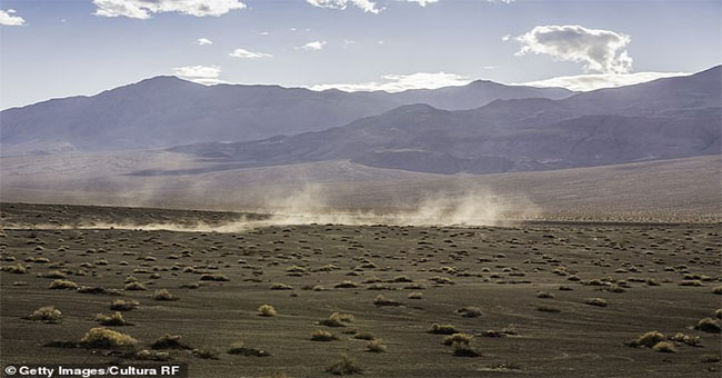 The $ 50 trillion plan turns the Earth desert into millions of oases