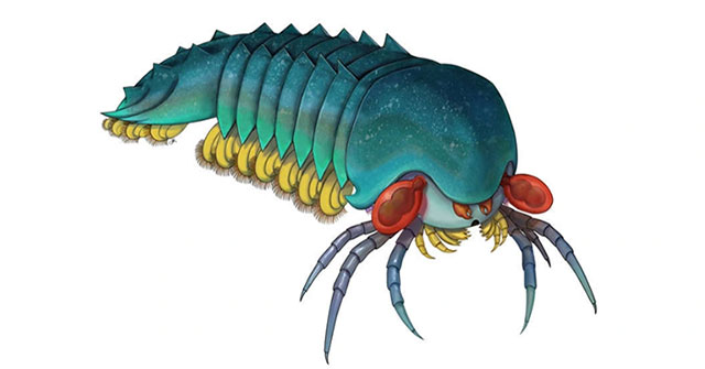 The 500 million year old creature has the oldest relationship with scorpions and spiders