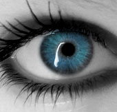The 700 million year evolution of eyesight